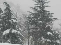 foto neve Marradi Gennaio 2005